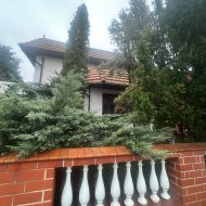 Dom na wynajem