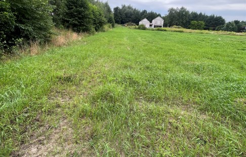 parcel for sale - Osielsko, Niemcz