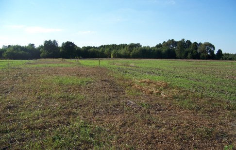 działka na sprzedaż - Sicienko, Kruszyn