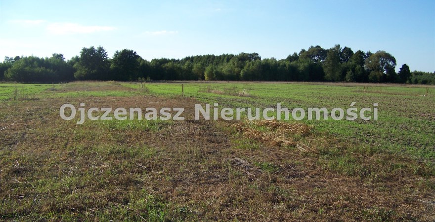 działka na sprzedaż, 1 000 m<sup>2</sup> - Sicienko, Kruszyn