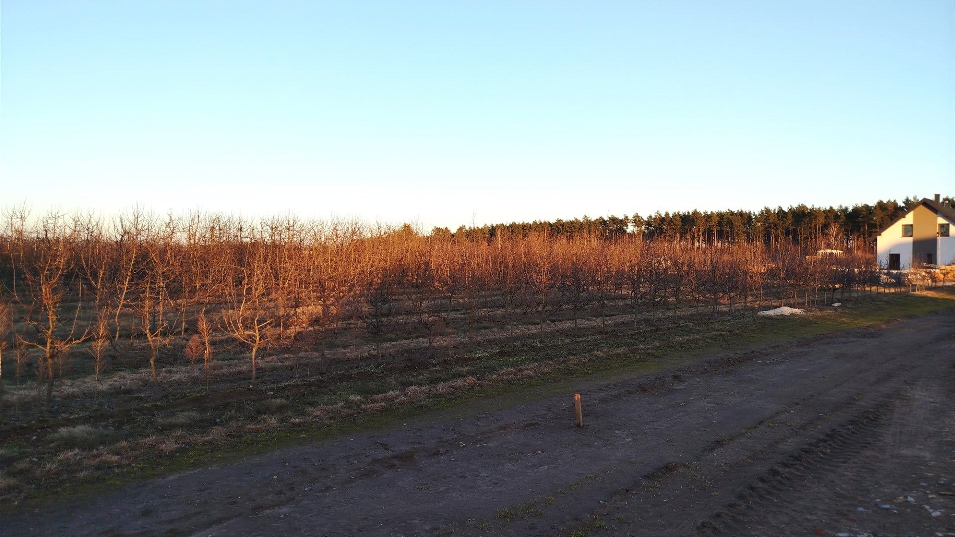 Działka na sprzedaż