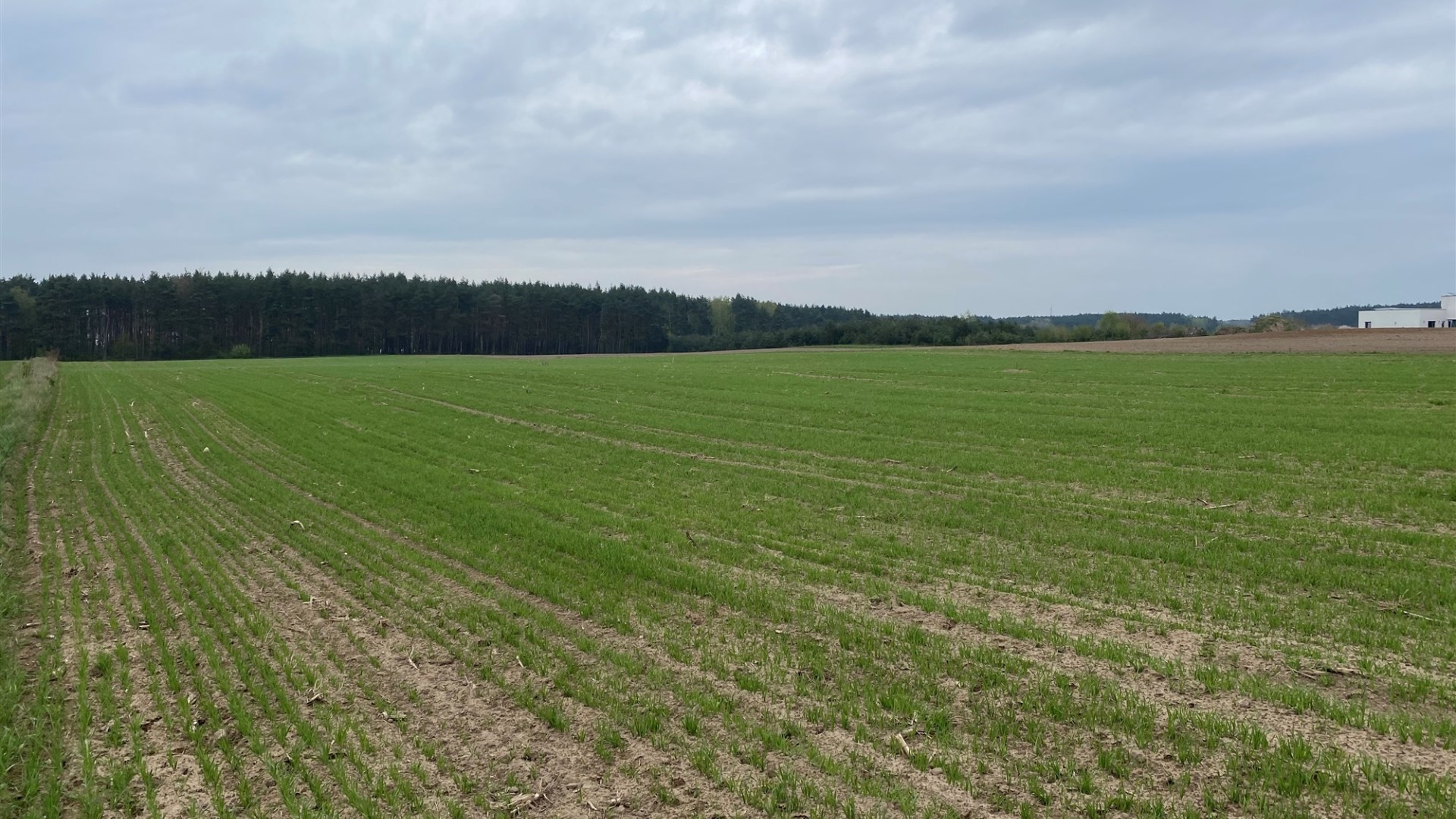 Działka na sprzedaż